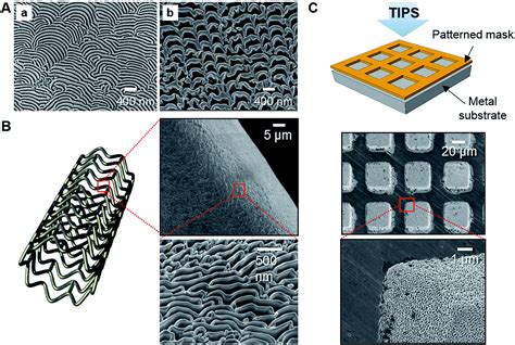 liquid metal open house|Surface Nanopatterning and Structural Coloration of .